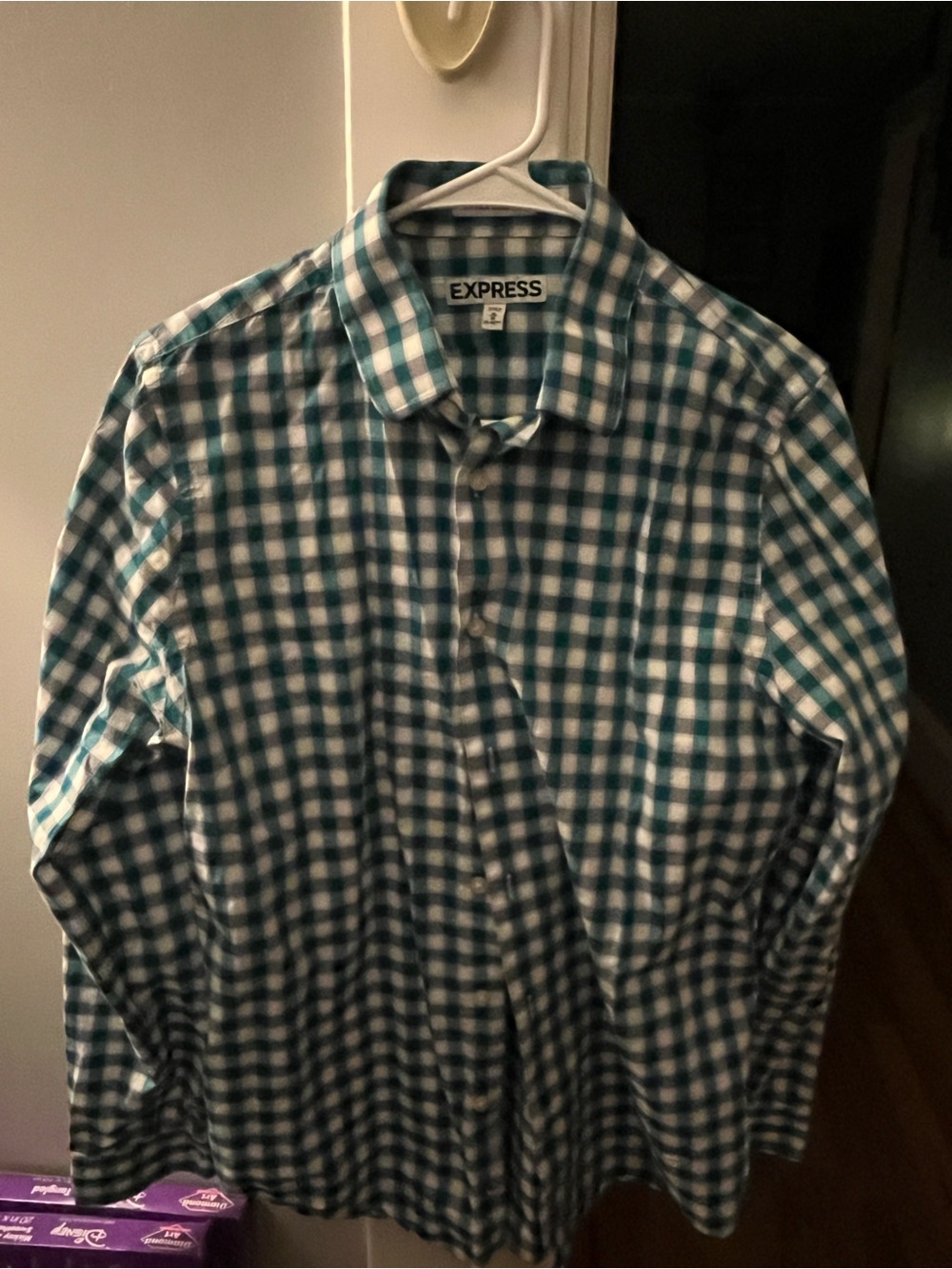 Express Men’s Teal and White Checked Button-Down Shirt